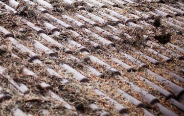 Inskip roof cleaning companies