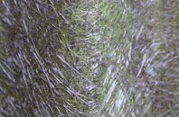 Inskip fibreglass roof work